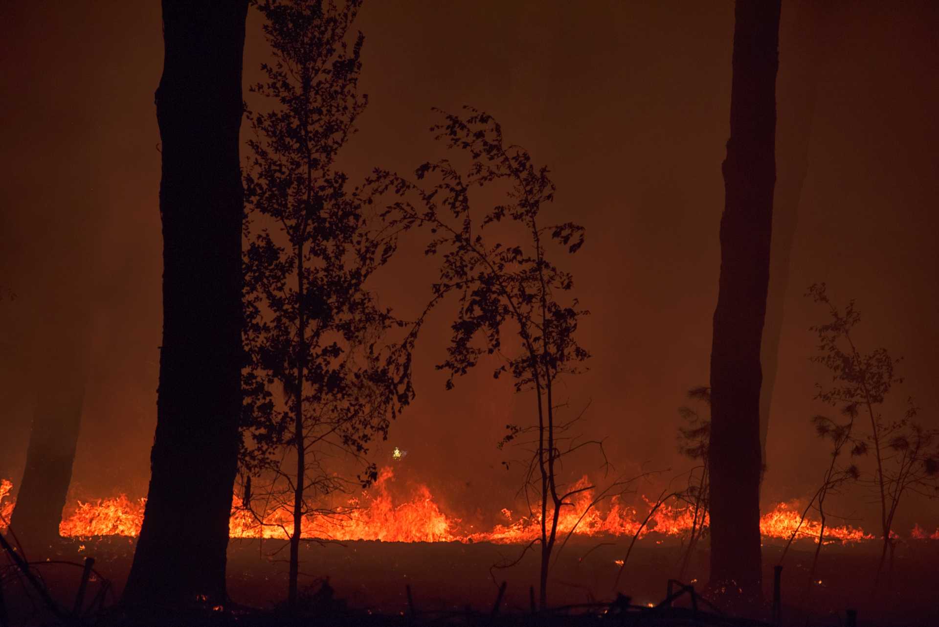 Incendio nella pineta delle Acque Rosse